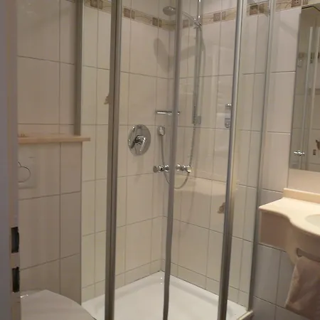 Отель Hotel-restaurant Waldhorn *