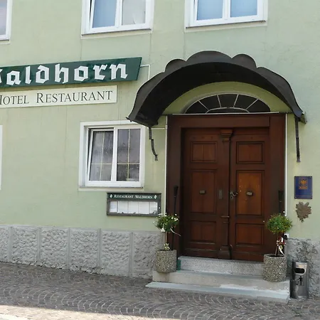 Отель Hotel-restaurant Waldhorn